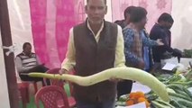 मैनपुरी: किसान प्रदर्शनी में 5 फीट लंबी लौकी, बनी आकर्षण का केंद्र
