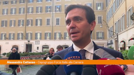 Cattaneo "Soddisfazione per la manovra, gufi smentiti"