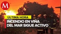 Incendio forestal afecta Viña del Mar; Gabriel Boric declara estado de catástrofe