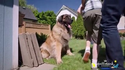 At Home in Mitford (2017) Watch HD HD Deutsch