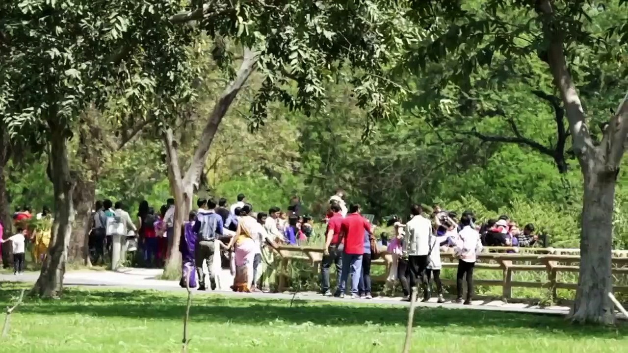 Strange Evidence - Se3 - Ep07 - Return of the Witch HD Watch HD Deutsch