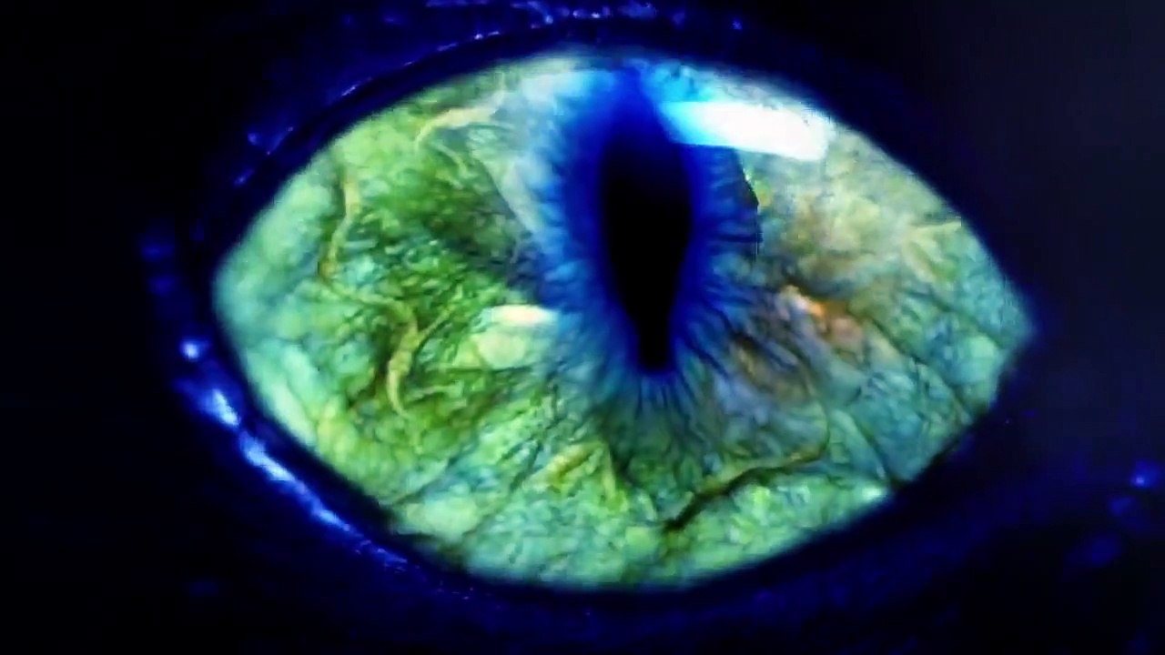 Strange Evidence - Se3 - Ep10 - Curse of Poltergeist Hill HD Watch HD Deutsch