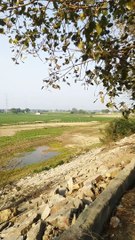lucknow Ring Road view|Lucknow Gomti river view|Lucknow Gomti river Landscape
