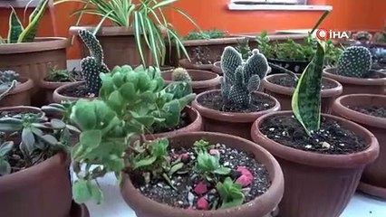 Tarım lisesinin özel öğrencileri üretti