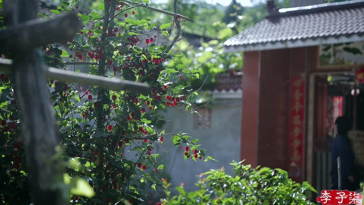 Cuộc sống bình yên  17