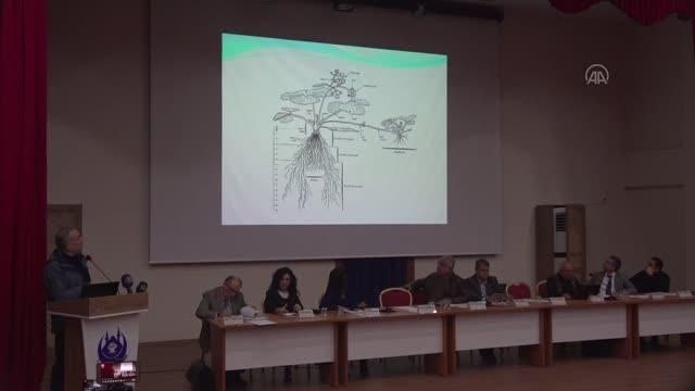 Hatay'da Çilek Yetiştiriciliği, Sorunları ve Çözüm Önerileri paneli düzenlendi