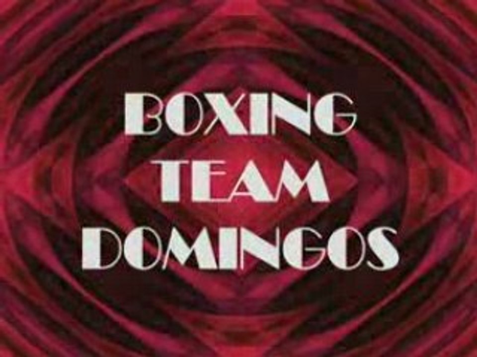 Stage boxe Thaï 4 Team Domingos