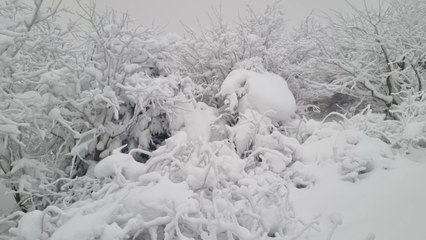 설국 된 덕유산 향적봉...87㎝ 폭설로 탐방로 통제 / YTN