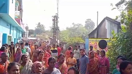হুগলি: কুকুর পিটিয়ে মারা নিয়ে হুলুস্থুল, ইটবৃষ্টি