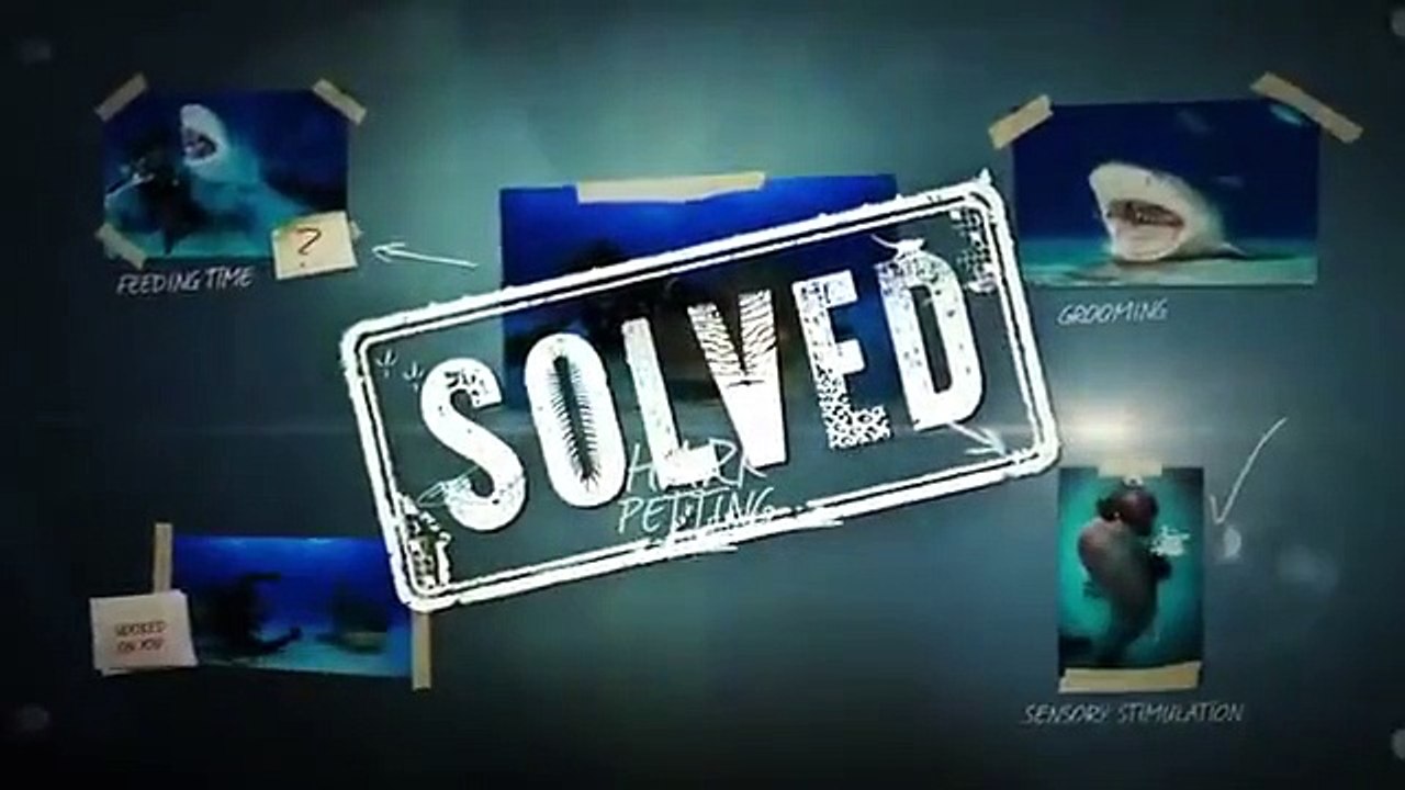 Nature's Strangest Mysteries - Solved - Se1 - Ep13 HD Watch HD Deutsch