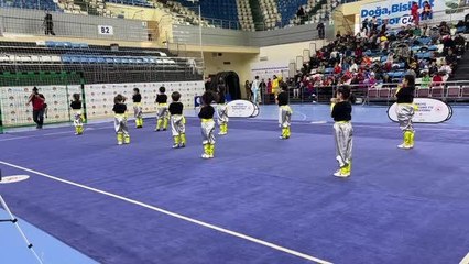 Sakarya'da Geleneksel Wushu Kung Fu Türkiye Şampiyonası başladı