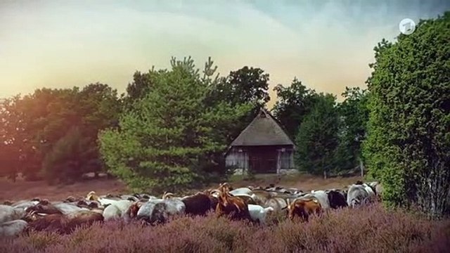 Rote Rosen Folge 3688