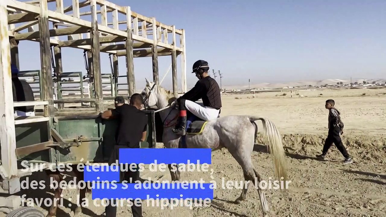 En Israël, des courses hippiques bédouines loin...