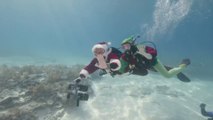 Santa Claus Dives Among Fish Ahead of Christmas Day