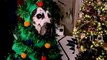 Great Dane Feeling Festive in Christmas Tree Costume