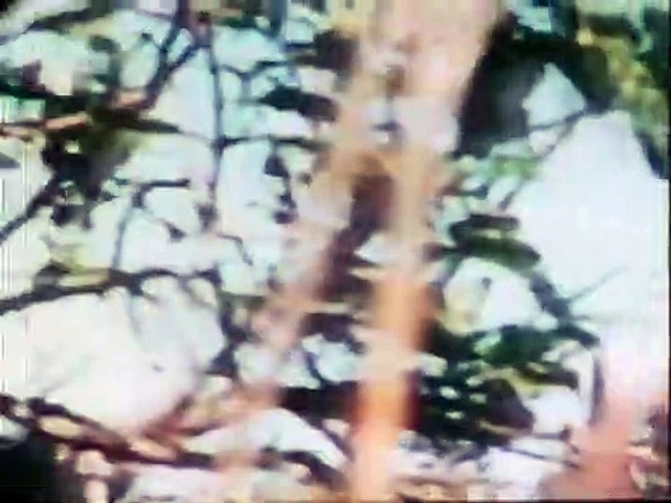 In Search of... - Se2 - Ep16 HD Watch HD Deutsch