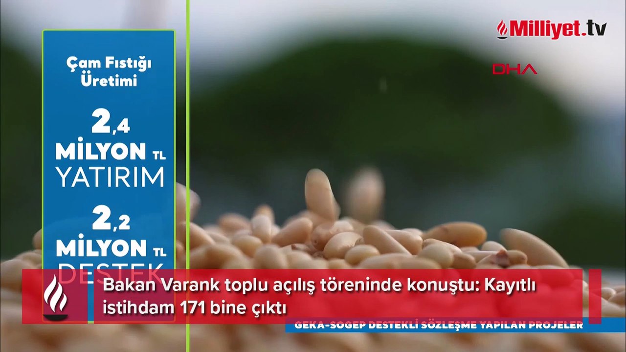 Bakan Varank toplu açılış töreninde konuştu: Kayıtlı istihdam 171 bine çıktı