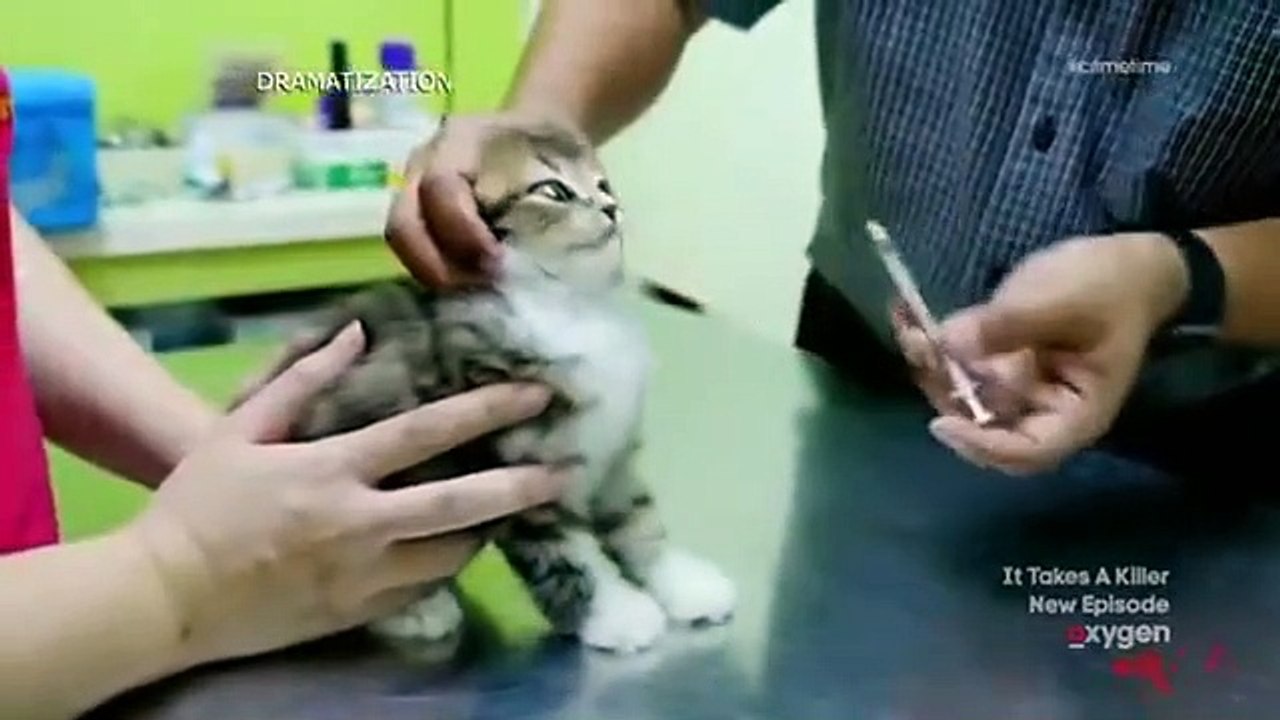 It Takes a Killer - Se1 - Ep30 HD Watch HD Deutsch