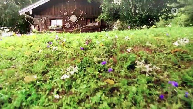 Sturm der Liebe 3953