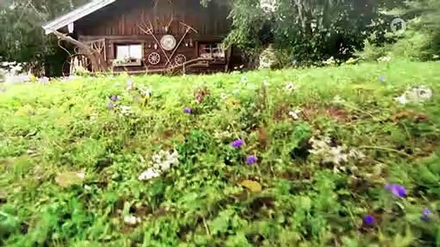 Sturm der Liebe 3953 folge