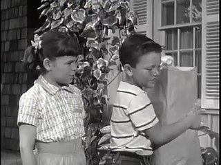 Father Knows Best - Se2 - Ep06 HD Watch HD Deutsch