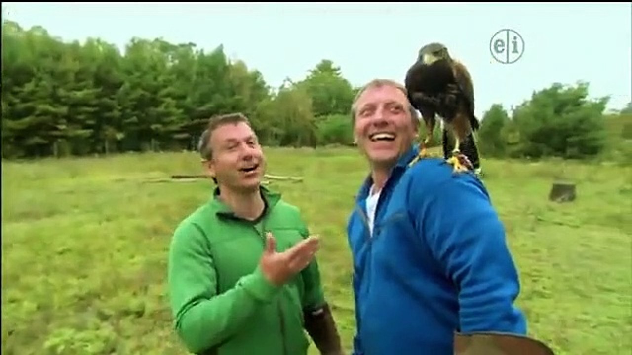 Wild Kratts - Se1 - Ep35 HD Watch HD Deutsch