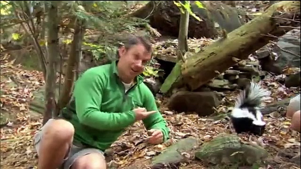 Wild Kratts - Se1 - Ep42 HD Watch HD Deutsch