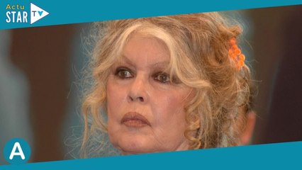 Brigitte Bardot maman de Nicolas, qu'elle ne voulait pas garder : confidences sur leur relation très