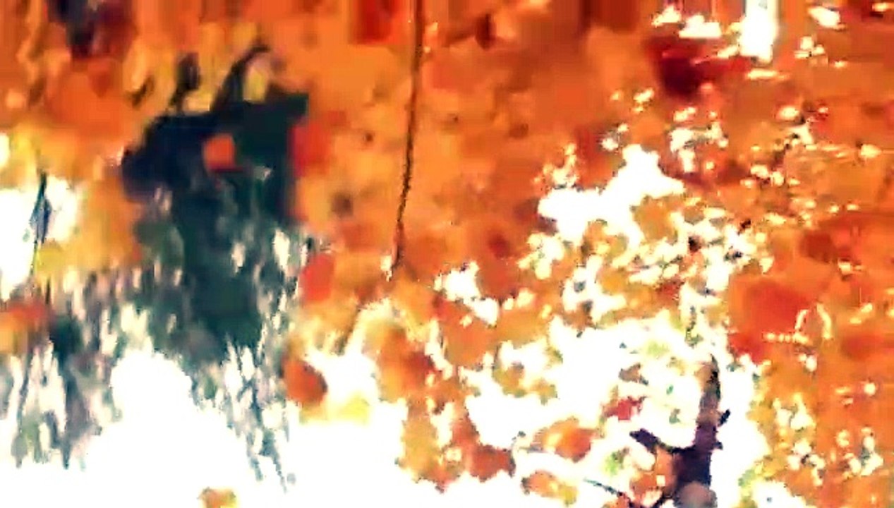 Relic Hunter - Se2 - Ep15 - Run Sydney Run HD Watch HD Deutsch