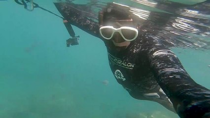 Swimming In The Middle of Jellyfish World