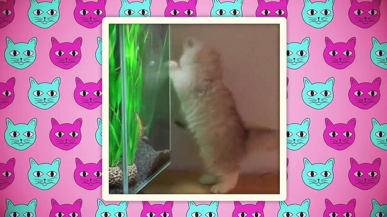 We Are Savvy - Ep20 - Galentine's Day HD Watch HD Deutsch