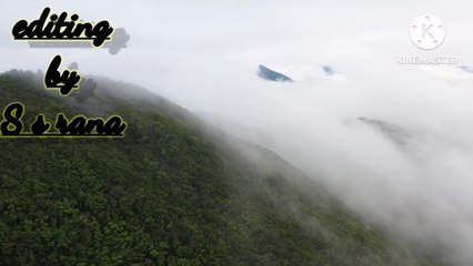 nature view with flute music