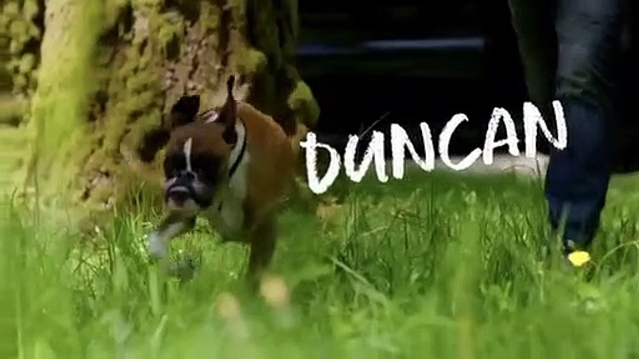 Amanda to the Rescue - Se1 - Ep04 HD Watch HD Deutsch