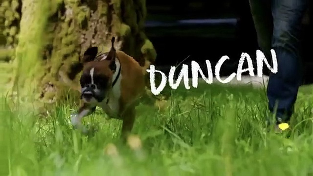 Amanda to the Rescue - Se1 - Ep05 HD Watch HD Deutsch