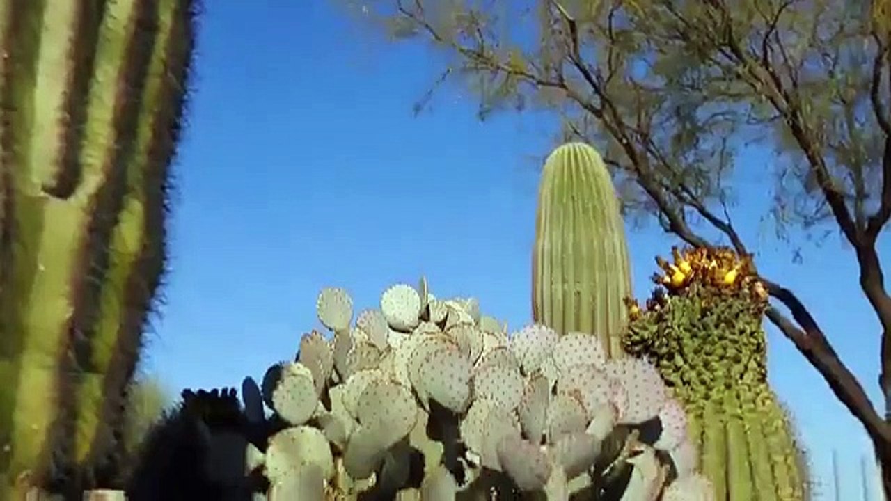 Mysteries at the Museum - Se11 - Ep02 - Man Who Saved the World; Man in a Box; From the Depths of Hell HD Watch HD Deutsch