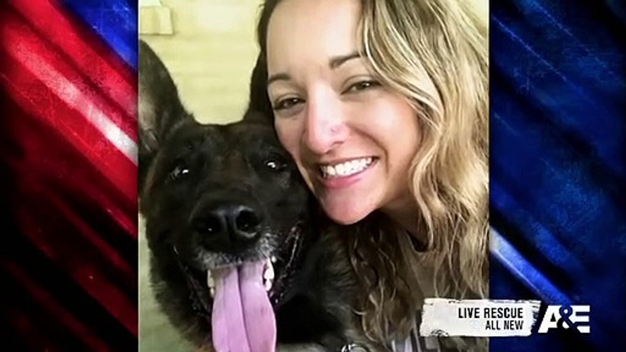 America's Top Dog - Se1 - Ep03 - Small Dog, Big Bite HD Watch HD Deutsch