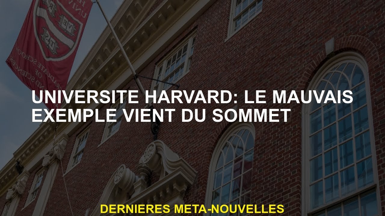 Université Harvard: Le mauvais exemple vient du sommet