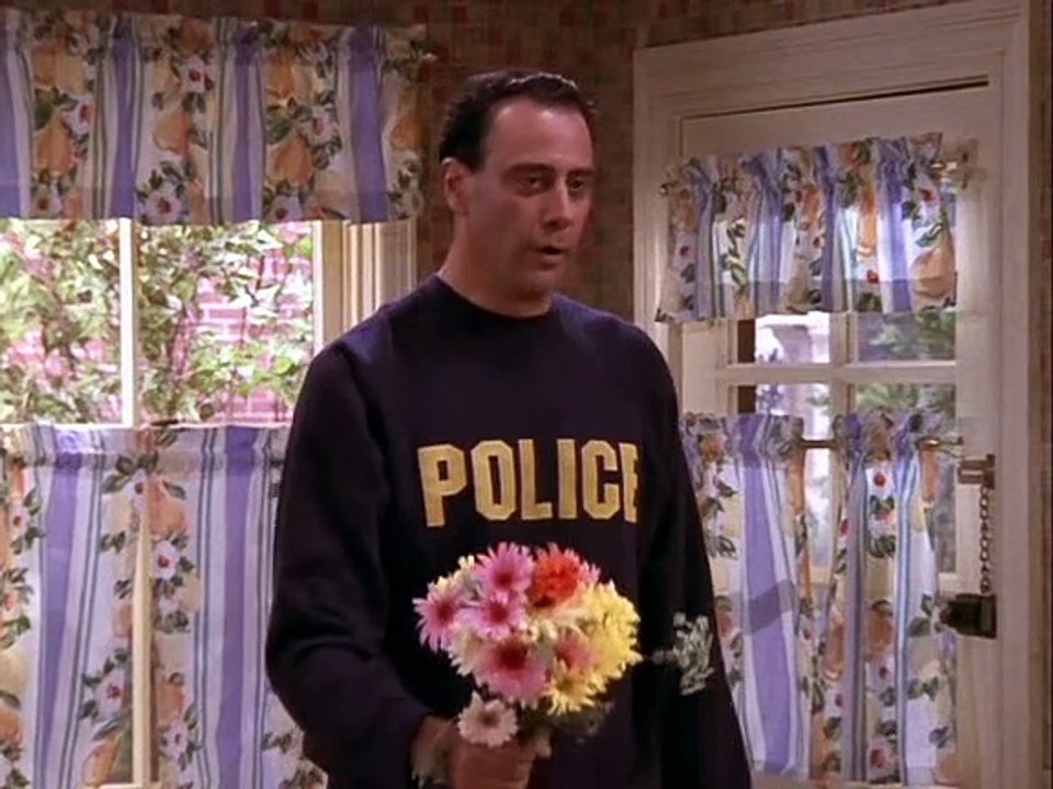 Alle lieben Raymond Staffel 2 Folge 4