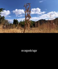 Saludo apostólico: 14 de diciembre 2022