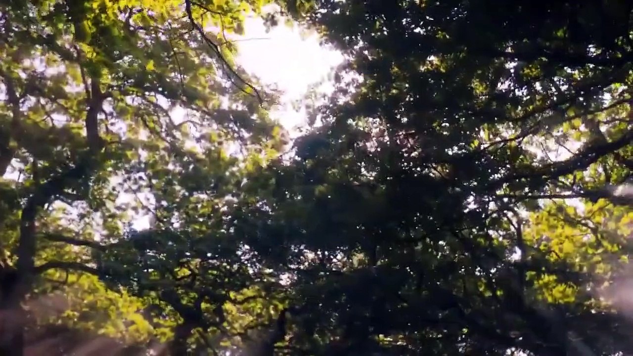 Beowulf Return To The Shieldlands - Se1 - Ep06 HD Watch HD Deutsch