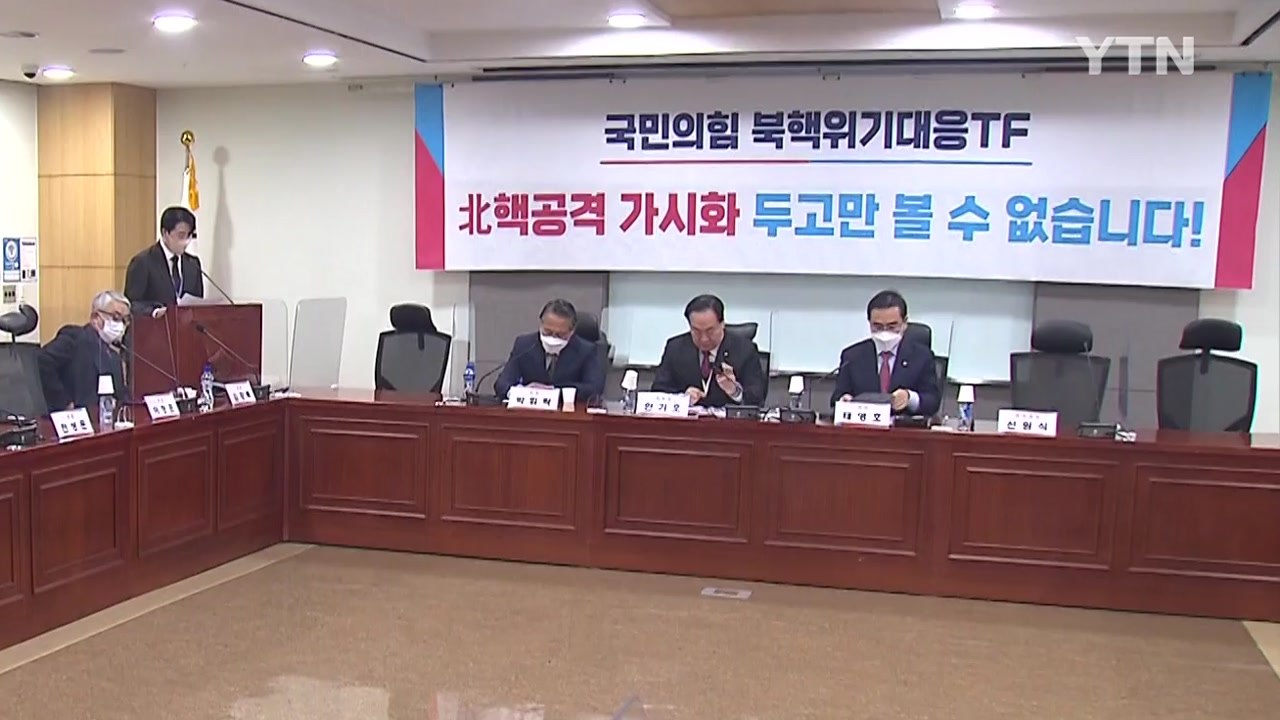 與 북핵특위 종료..."3축 체제 보완한 4축 체제 이상 필요" / YTN