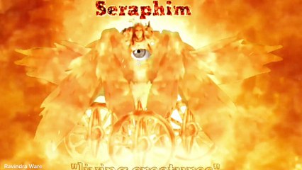 The Cherubim & The Seraphim.... The biblical accurate angels