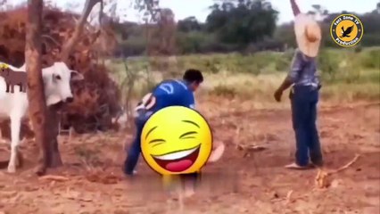 इन नमूनों की हरकत देख कर हंसी नहीं रोक पाएंगे _ Funny Moment Catch On Camera _ Part 4