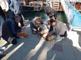 Fethiye'de denize düşen köpek kurtarıldı