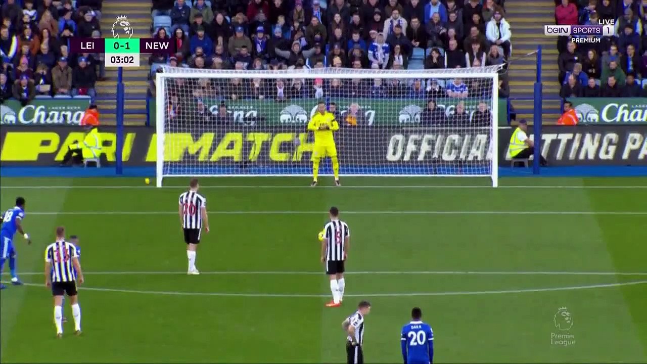 اهداف مباراة نيوكاسل وليستر سيتي 3 0 الدوري الانجليزي