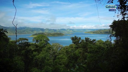 tn7-costo-para-ir-de-vacaciones-231222
