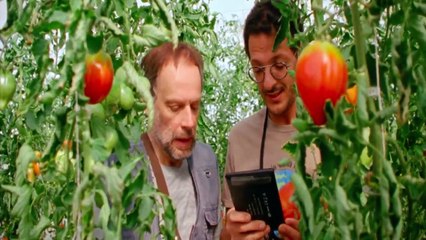 ONLINE FÜR ANFÄNGER (2020) Filme Deustche HD HD Deutsch