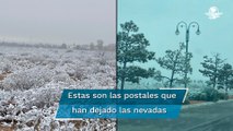 Al estilo “Frozen”; se registra caída de nieve y aguanieve en Coahuila