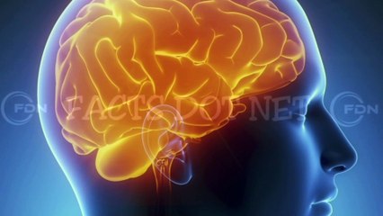 Did You Know? The BRAIN may  EAT itself || RANDOM, AMAZING and INTERESTING FACTS AROUND THE WORLD
