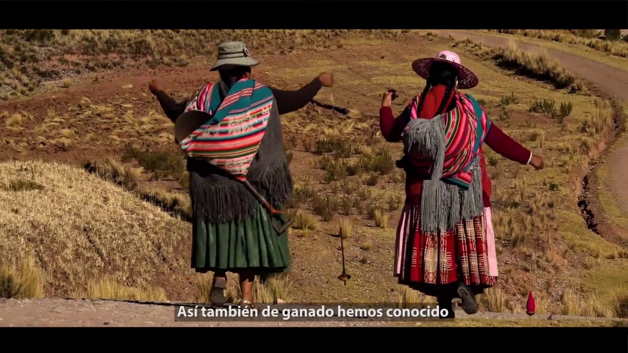 Proyecto - PNIA